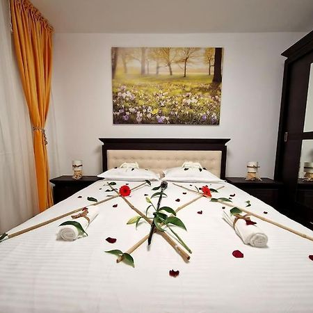 Apartamento Forest Intimate Hideaway - Sub Padure Love Nest Braşov Exterior foto